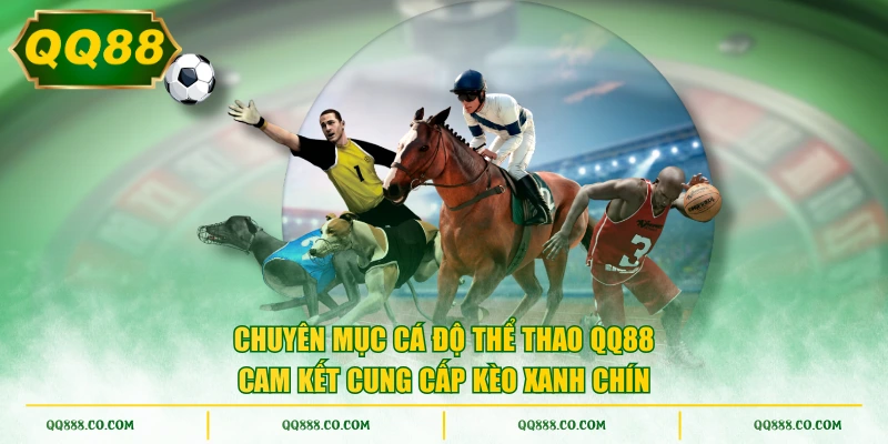 Chuyên mục cá độ thể thao QQ88 cam kết cung cấp kèo xanh chín