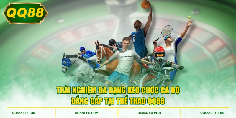 Trải nghiệm đa dạng kèo cược cá độ đẳng cấp tại thể thao QQ88